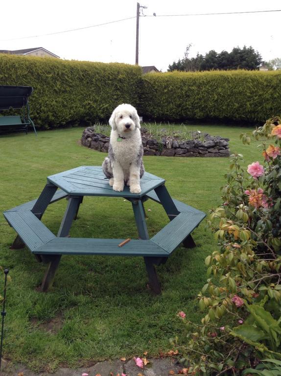 Riverwalk House B&B Oughterard Rom bilde