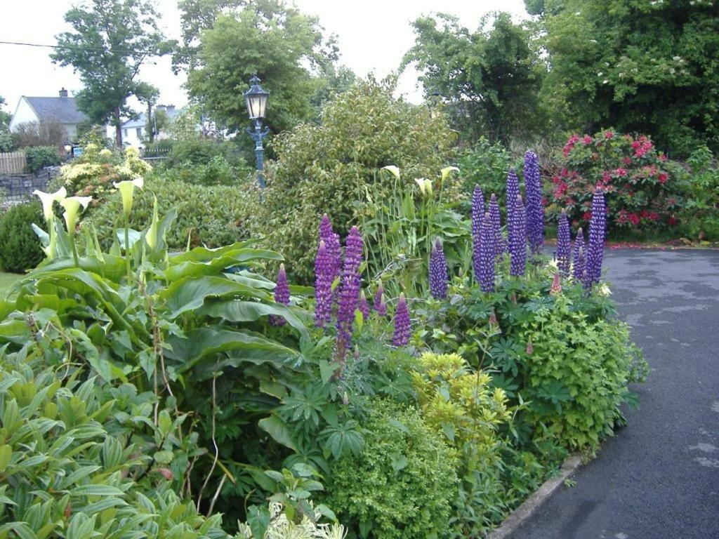 Riverwalk House B&B Oughterard Eksteriør bilde