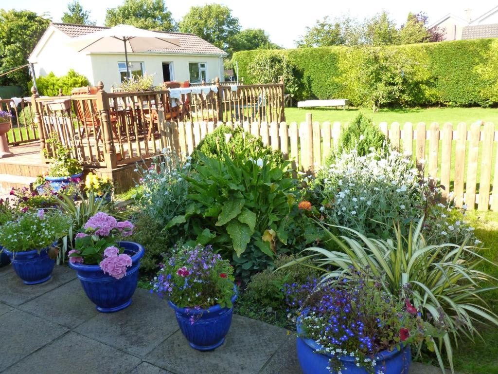 Riverwalk House B&B Oughterard Eksteriør bilde