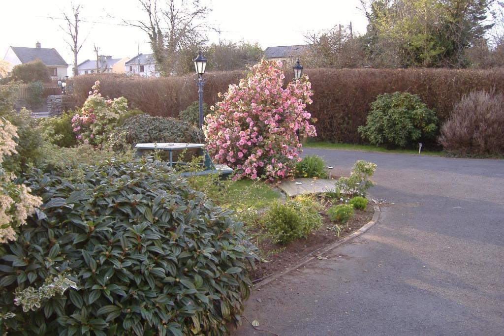 Riverwalk House B&B Oughterard Eksteriør bilde